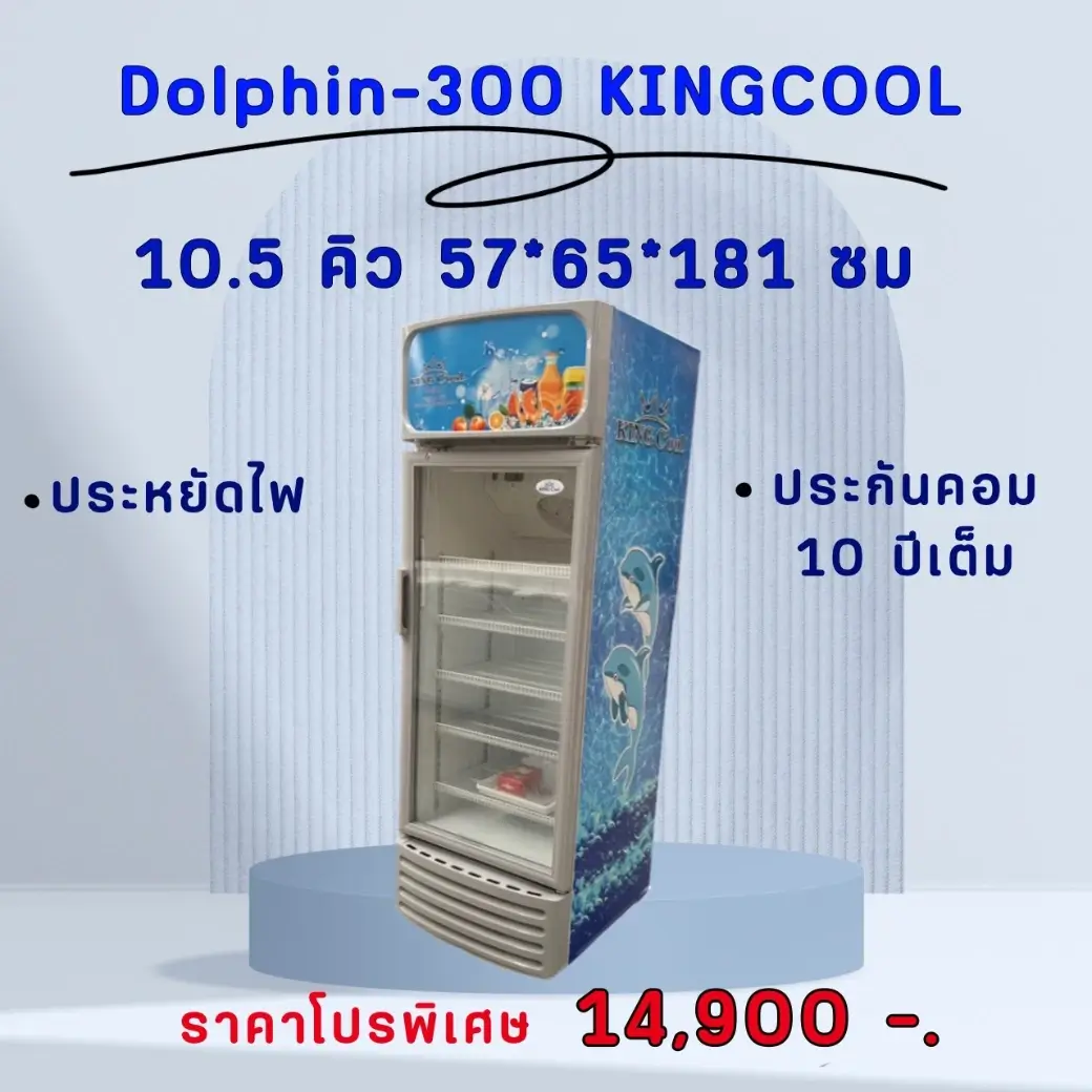 ตู้แช่ 1 ประตู KingCool Dolphin-300 ขนาด 10.5 คิว ประหยัดไฟเย็นเร็ว