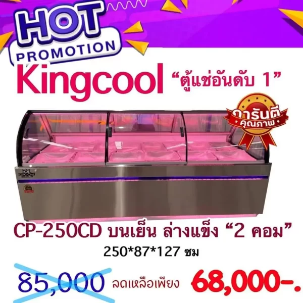 ตู้แช่สแตนเลสทรงสูง รุ่น CP-250CD
