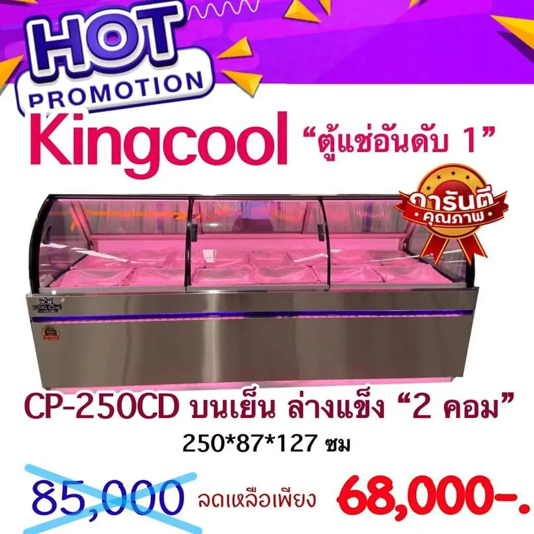 ตู้แช่สแตนเลสทรงสูง รุ่น CP-250CD | บนเย็นล่างแข็ง คอมแยก 2 ตัว ประหยัดไฟ โชว์สินค้าเด่นชัด
