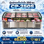 CP-250S