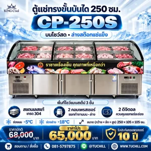 CP-250S